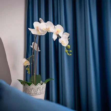 Lara Apartman
